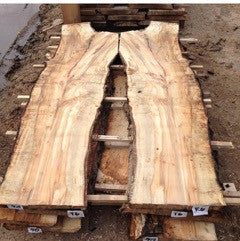 Silver Maple slabs