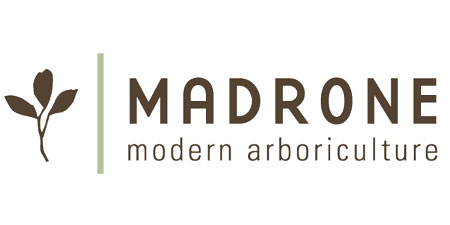 Madrone Modern 